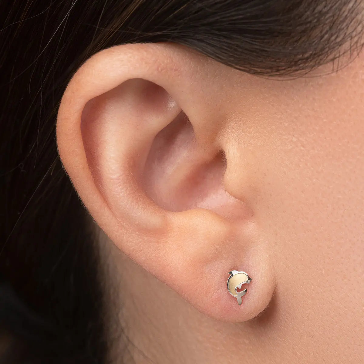 Aretes de oro 14K broquel Delfín oro blanco y amarillo