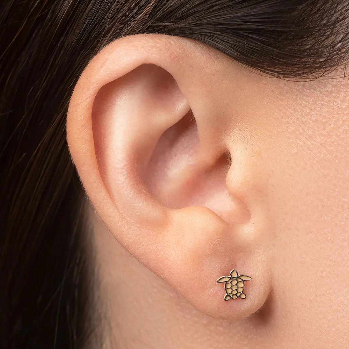 Aretes de oro 14K broquel Tortuga de mar oro blanco y amarillo